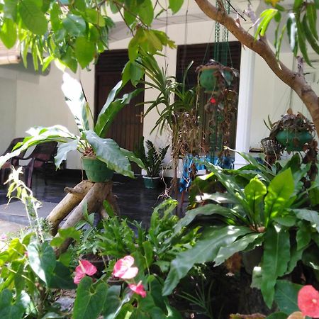 Asiri Homestay Сігірія Екстер'єр фото